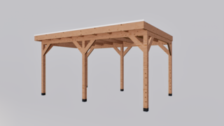 Douglas overkapping 300x500cm met overstek Verando